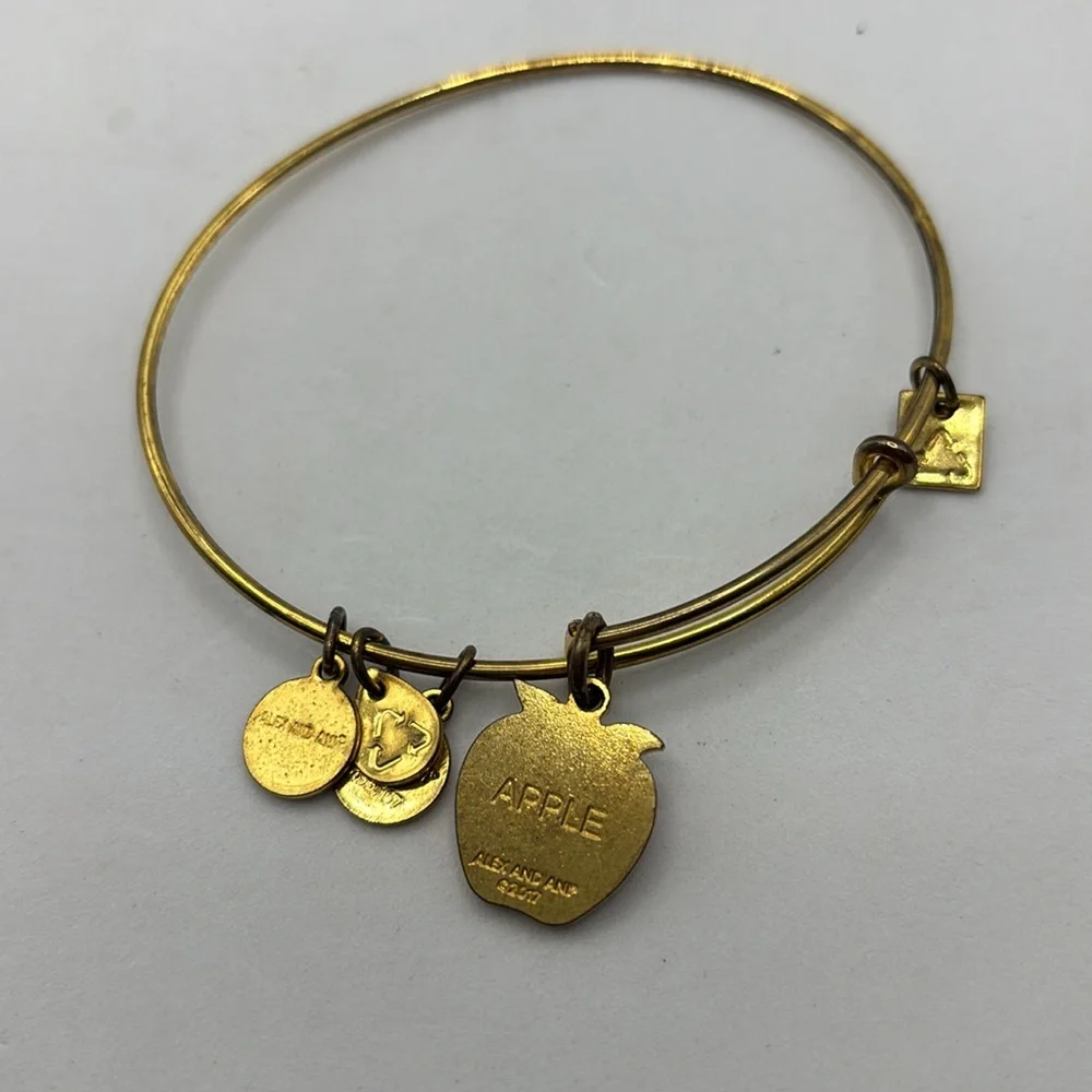 Alex and Ani charm bangle bracelets stretch 5 different colors and wear